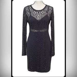 Black Swan Grey Lace Dress Small